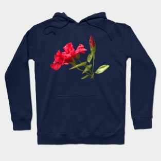 Red Hibiscus Tropical Flower and Bud Hoodie